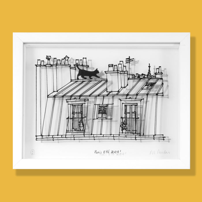 Flâneries parisiennes